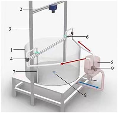 Effect of inlet pipe design on self-cleaning ability of a circular tank in RAS